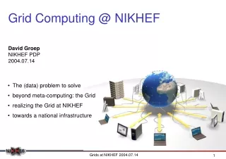 Grid Computing @ NIKHEF