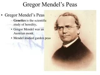 Gregor Mendel’s Peas