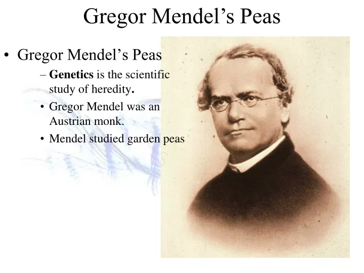 gregor mendel s peas