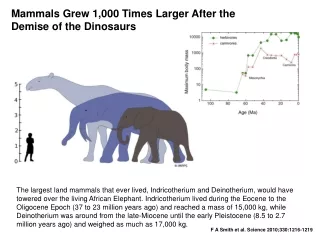 Mammals Grew 1,000 Times Larger After the Demise of the Dinosaurs