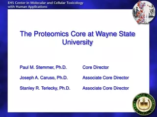 The Proteomics Core at Wayne State University