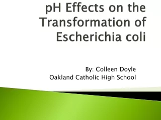 pH Effects on the Transformation of Escherichia coli