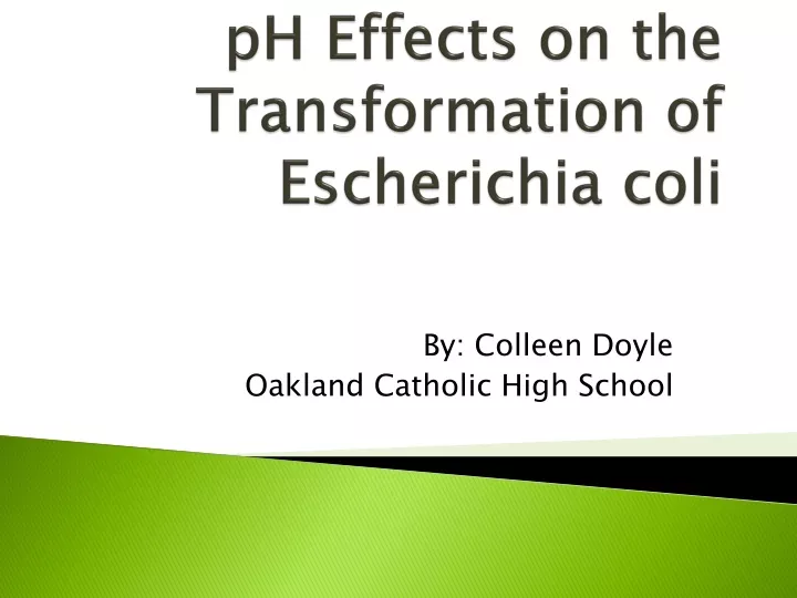 ph effects on the transformation of escherichia coli