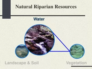 Natural Riparian Resources