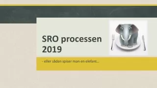 SRO  processen 2019