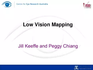 Low Vision Mapping