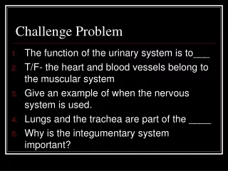 Challenge Problem