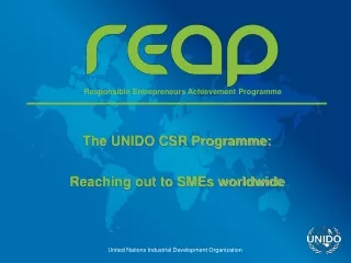 The UNIDO CSR Programme: Reaching out to SMEs worldwide