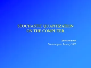 STOCHASTIC QUANTIZATION  ON THE COMPUTER