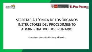 SECRETARÍA TÉCNICA DE LOS ÓRGANOS INSTRUCTORES DEL PROCEDIMIENTO ADMINISTRATIVO DISCIPLINARIO