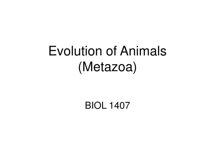 evolution of animals metazoa
