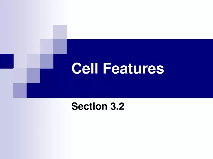 cell features