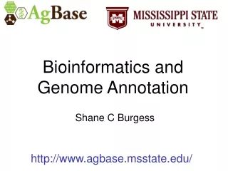 Bioinformatics and Genome Annotation