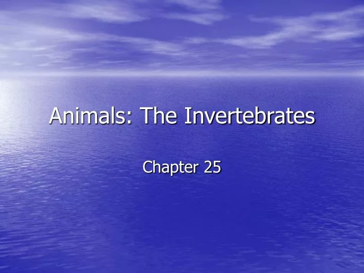 animals the invertebrates