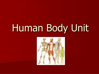Human Body Unit
