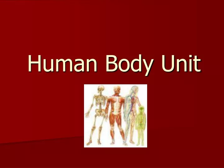 human body unit