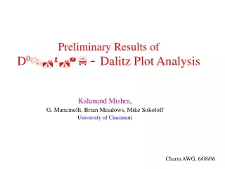 Preliminary Results of D 0         Dalitz Plot Analysis