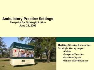 Ambulatory Practice Settings Blueprint for Strategic Action June 23, 2005