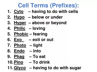 Cell Terms (Prefixes):