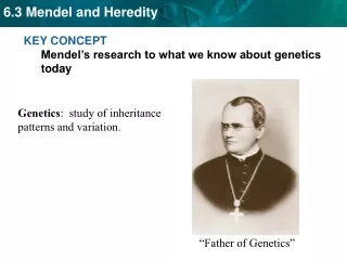 KEY CONCEPT  Mendel’s research to what we know about genetics today