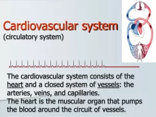 Cardiovascular system (circulatory system)