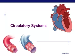 Circulatory Systems