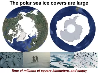 The polar sea ice covers are large