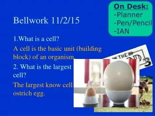 Bellwork 11/2/15
