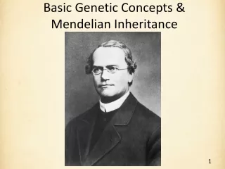Basic Genetic Concepts &amp; Mendelian Inheritance