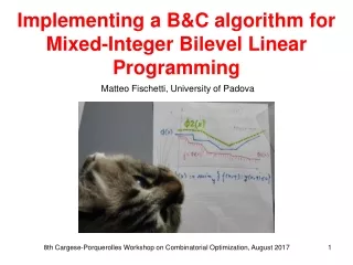 Implementing a B&amp;C algorithm for Mixed-Integer Bilevel Linear Programming