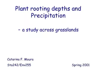 Plant rooting depths and Precipitation -  a study across grasslands