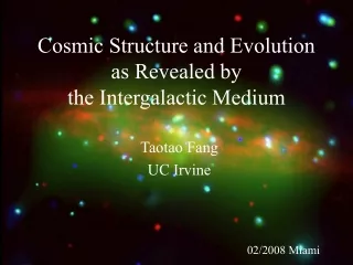 Cosmic Structure and Evolution  as Revealed by  the Intergalactic Medium