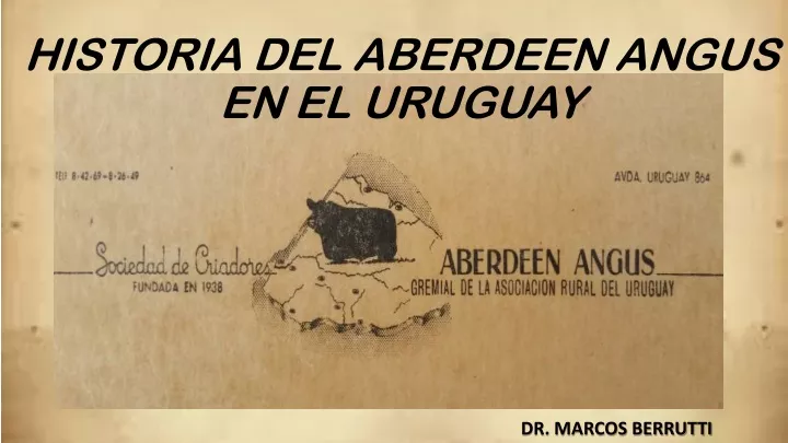 historia del aberdeen angus en el uruguay