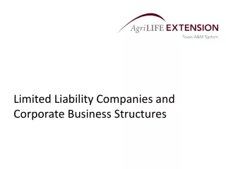Limited Liability Companies and Corporate Business Structures