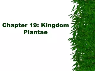 Chapter 19: Kingdom Plantae