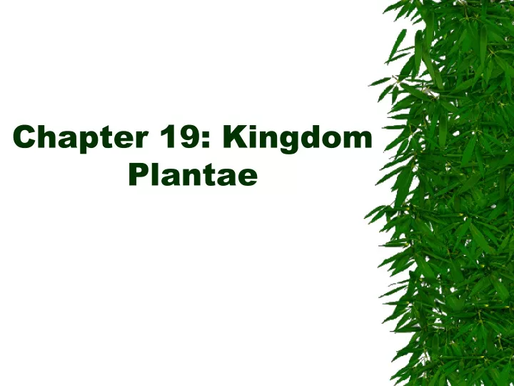 chapter 19 kingdom plantae