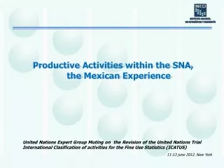 Productive Activities  within the  SNA, the  Mexican Experience