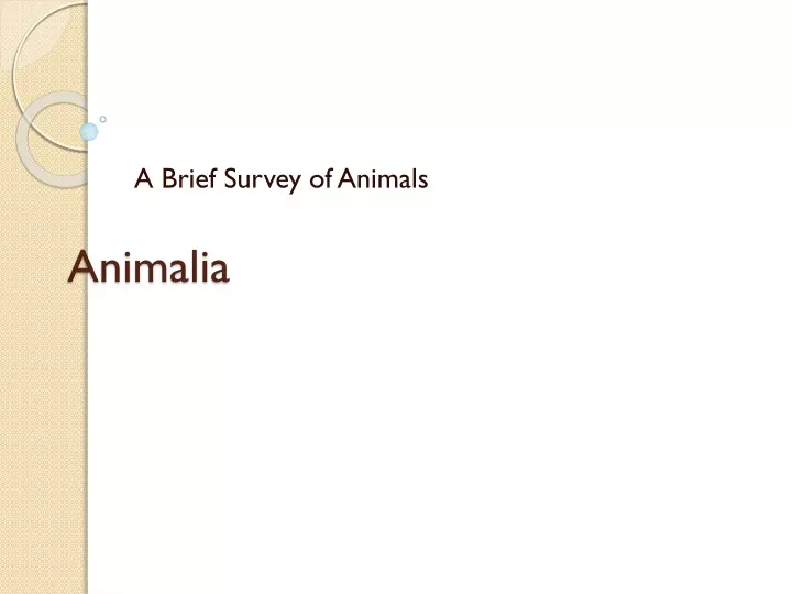 animalia