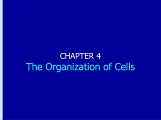 CHAPTER 4 The Organization of Cells