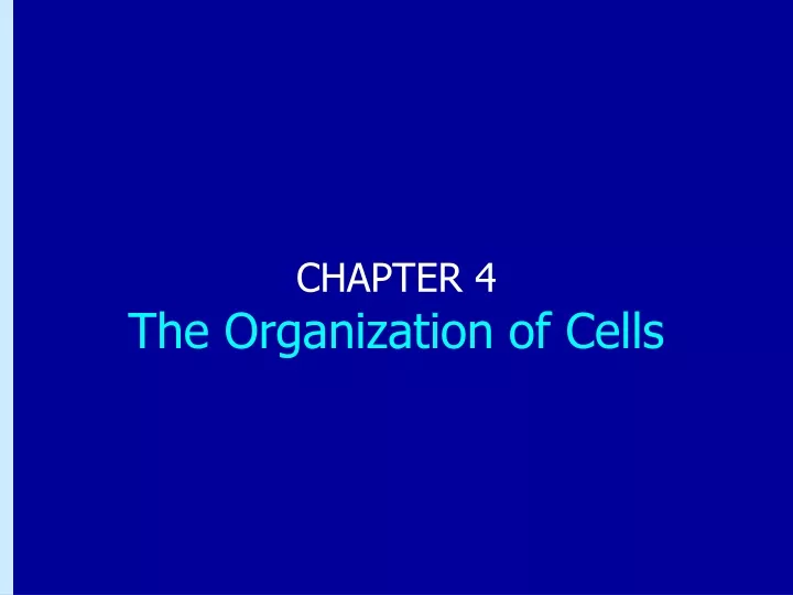 chapter 4 the organization of cells
