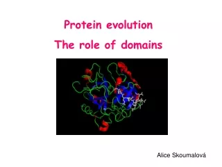 Protein evolution The role of domains