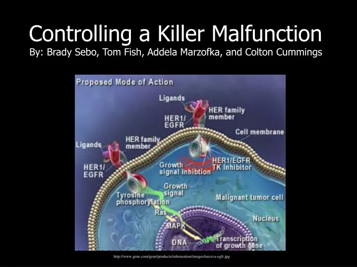 controlling a killer malfunction by brady sebo tom fish addela marzofka and colton cummings