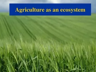 Agriculture as an ecosystem