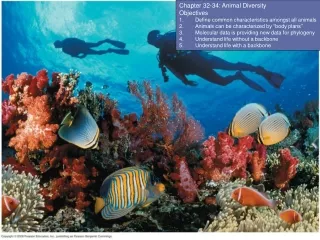 Chapter 32-34: Animal Diversity Objectives Define common characteristics amongst all animals