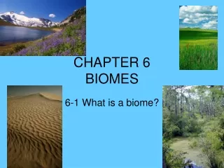 CHAPTER 6 BIOMES