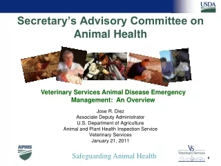 Secretary’s Advisory Committee on Animal Health