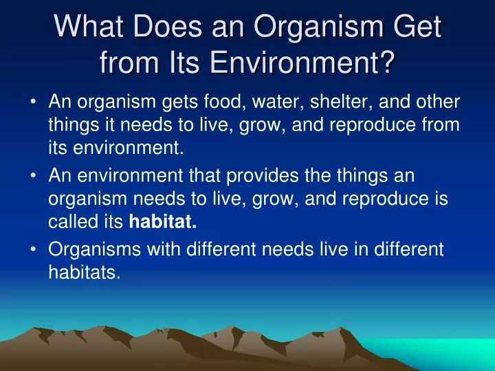 what does an organism get from its environment