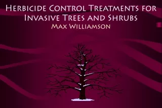 Herbicide Control Treatments for Invasive Trees and Shrubs Max Williamson