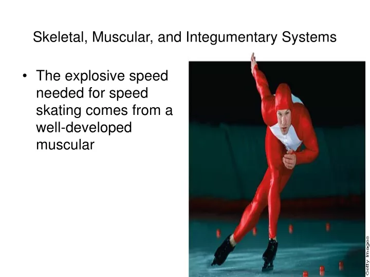 skeletal muscular and integumentary systems