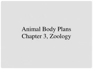 Animal Body Plans Chapter 3, Zoology